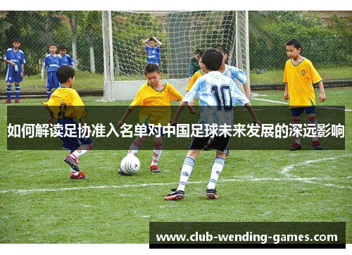 如何解读足协准入名单对中国足球未来发展的深远影响
