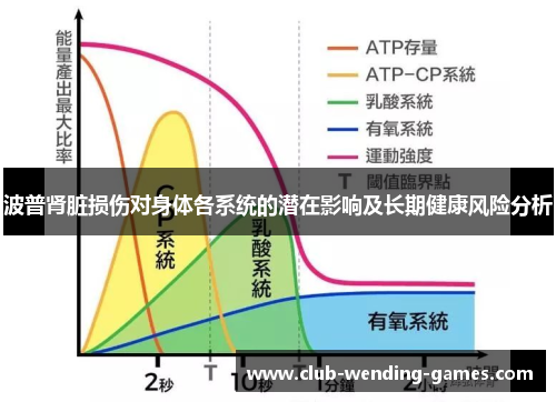 波普肾脏损伤对身体各系统的潜在影响及长期健康风险分析