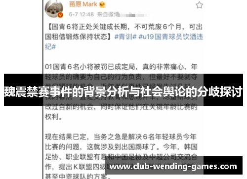 魏震禁赛事件的背景分析与社会舆论的分歧探讨