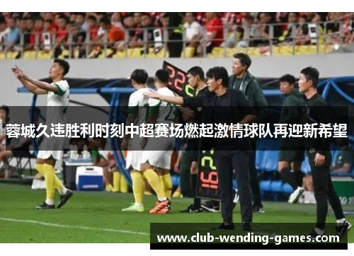 蓉城久违胜利时刻中超赛场燃起激情球队再迎新希望