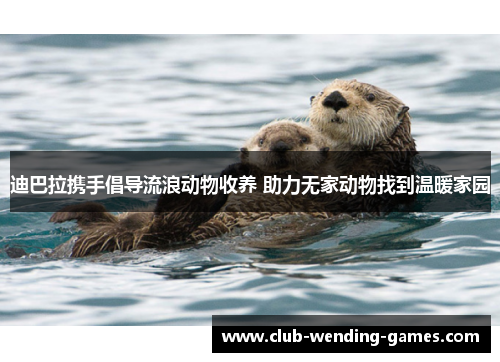 迪巴拉携手倡导流浪动物收养 助力无家动物找到温暖家园